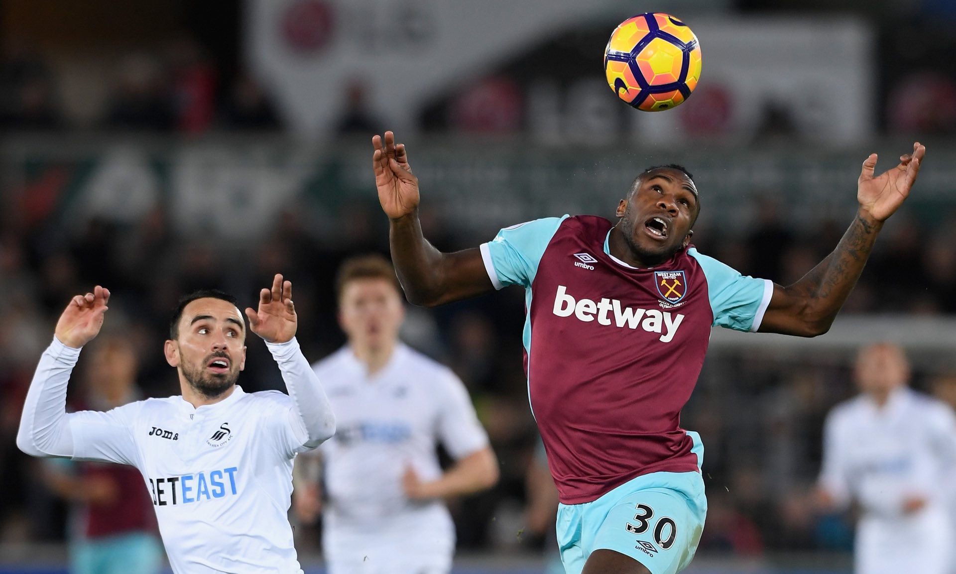 观赏性的较 观赏性的较