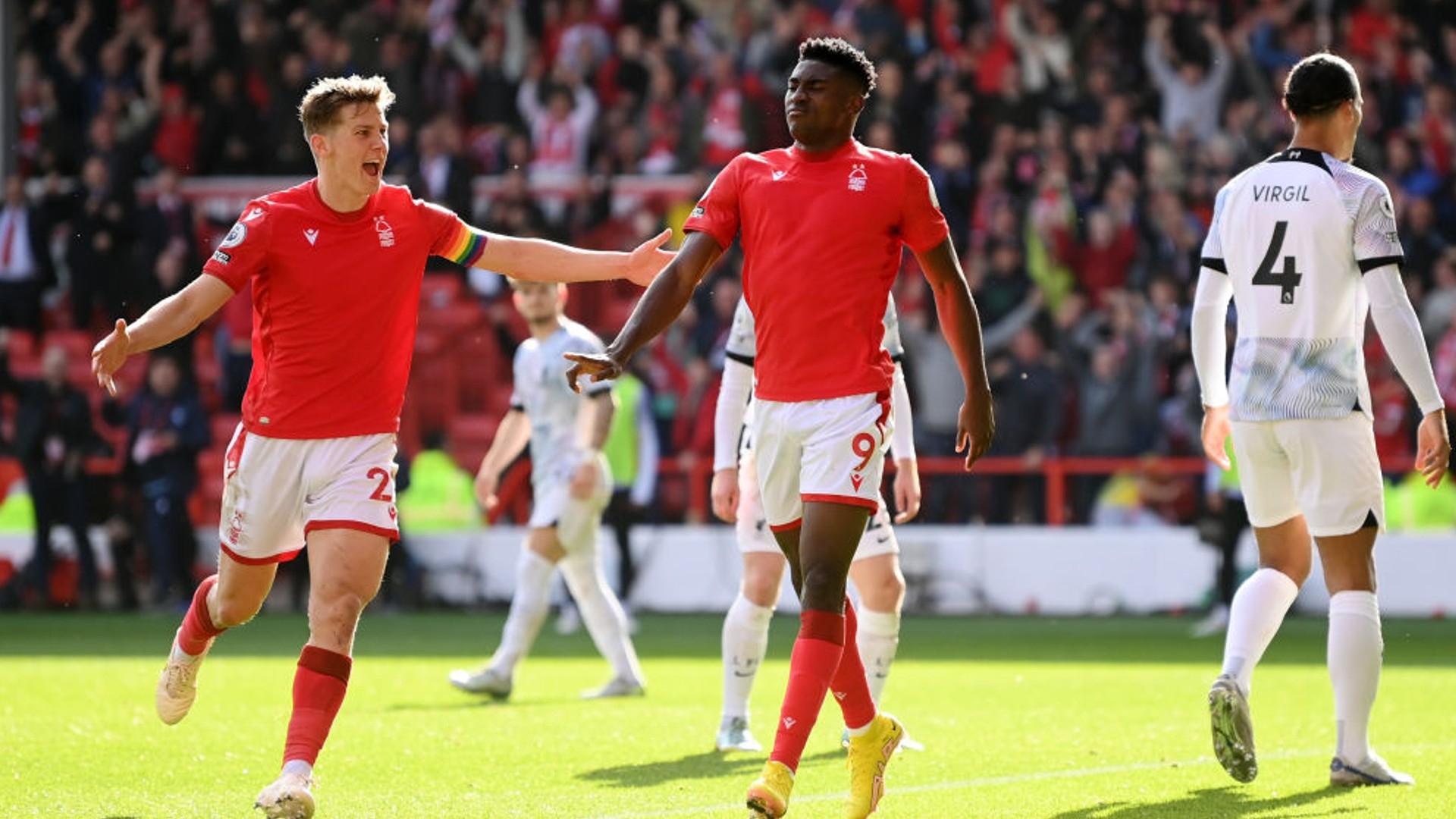 齐奥的对比 齐奥的对比